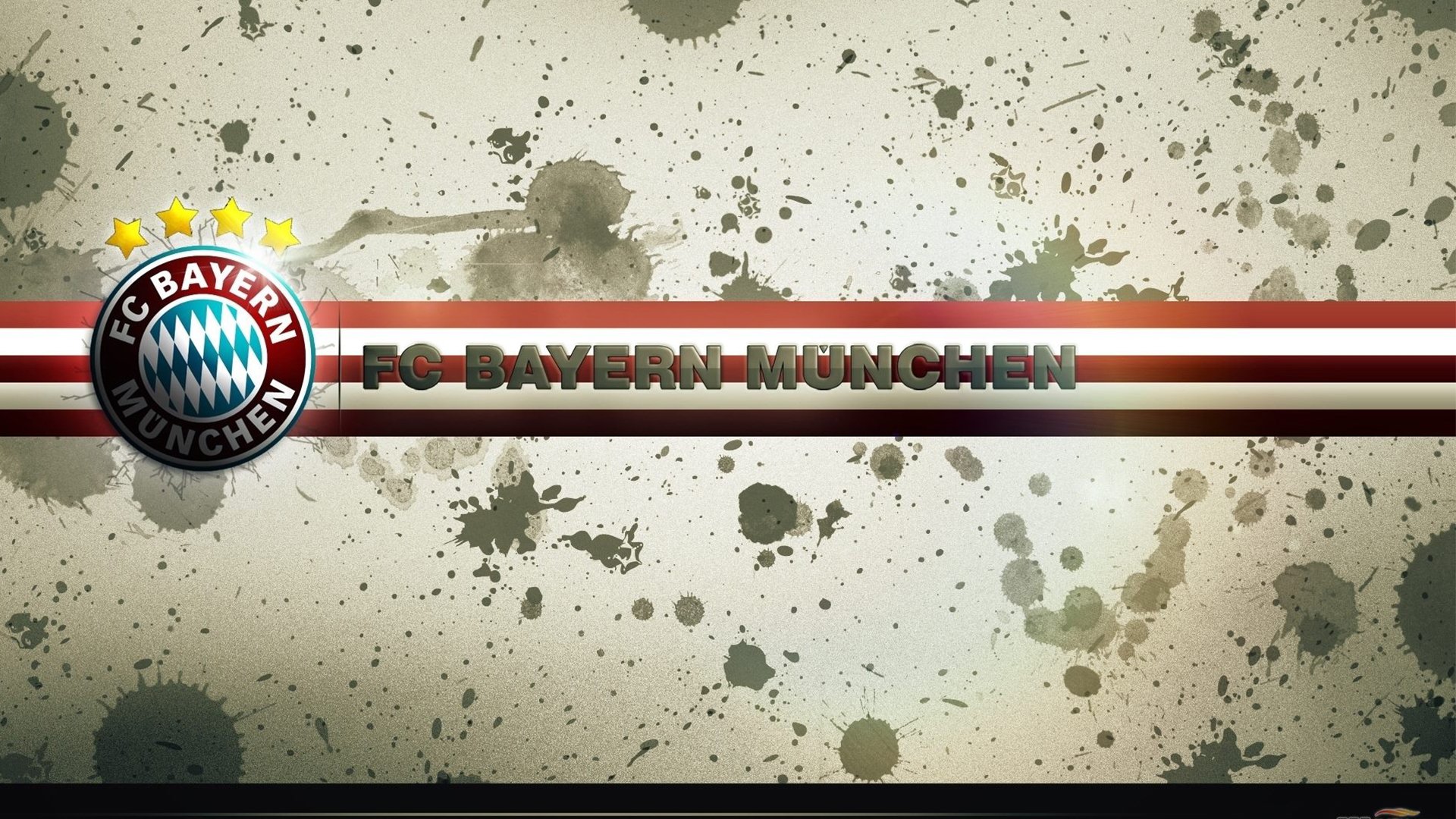 最有效的减脂训练计划